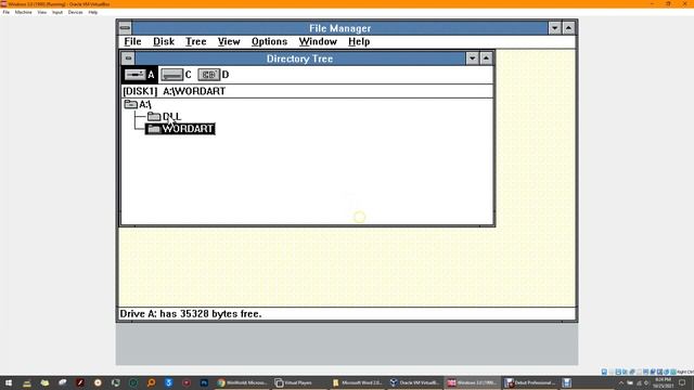 Install Software on Windows 3.0 смотреть онлайн