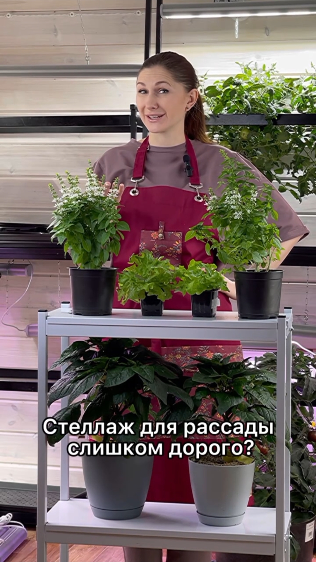 Держатель для фитолампы: растёт вместе с вашими растениями смотреть онлайн
