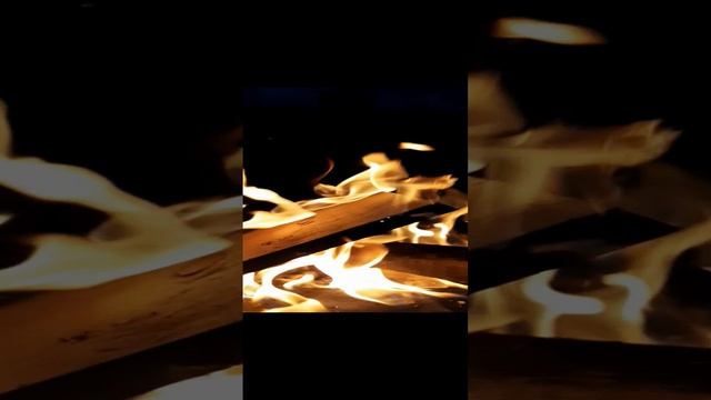 20231016_182146_1.mp4