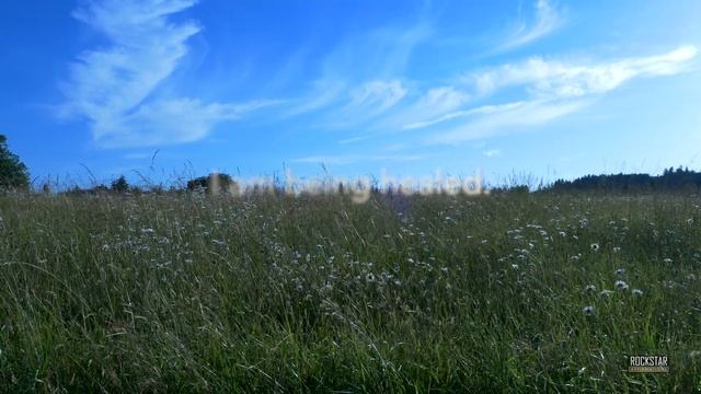 100 Best Perfect Health Affirmations - I AM In Perfect Health - Affirmations to Repeat смотреть онлайн