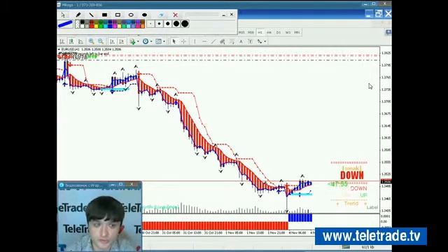 Teletrade Деникин Общее понятие торгового робота 2013 11 04 1 смотреть онлайн