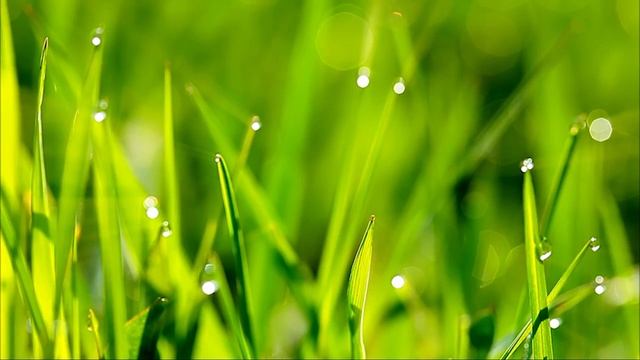 Настоящая зима и релакс музыка для прекрасного отдыха! смотреть онлайн