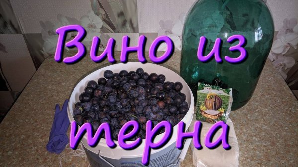 Вино Из Терна Дикая Слива Простой Рецепт Вина В Домашних Условиях Домашнее Вино