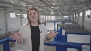 БЛОК-БОКСЫ. Сделано в «Элите»!