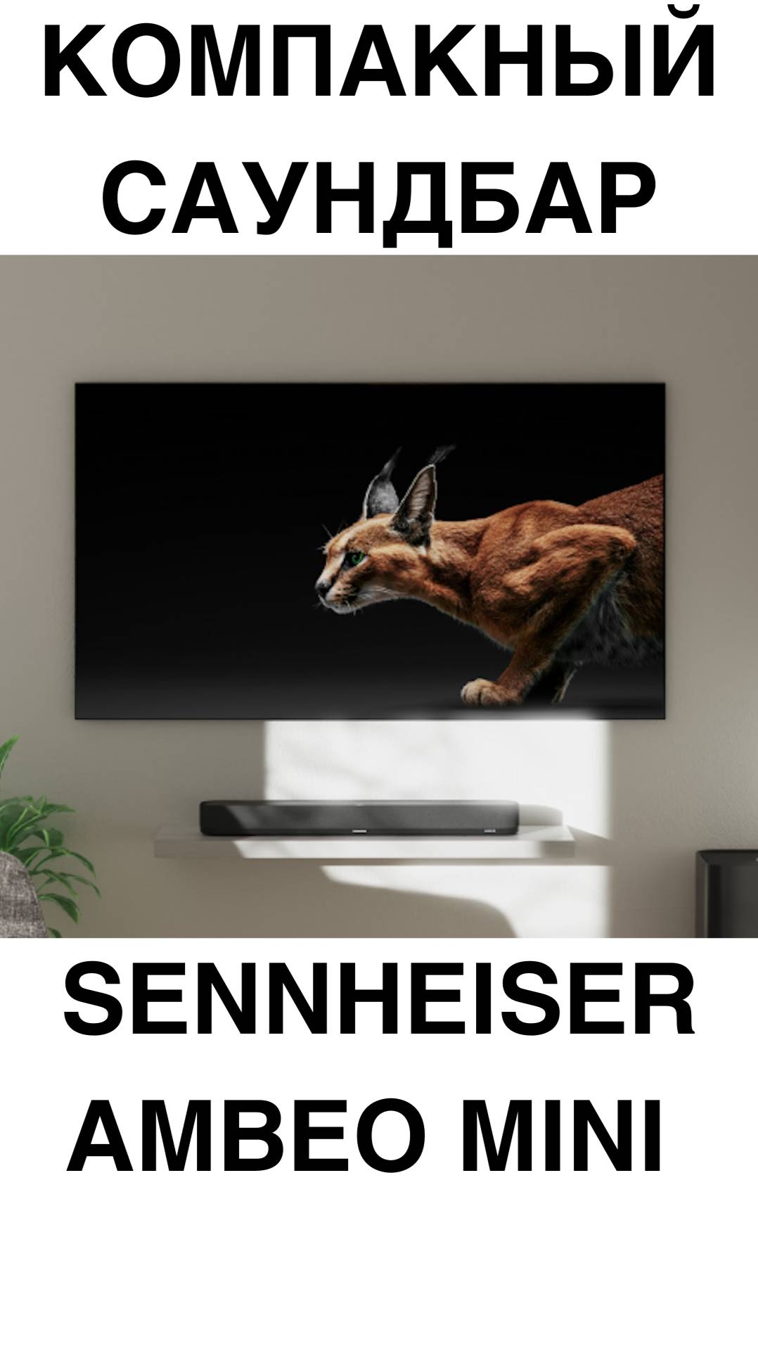 КОМПАКНЫЙ САУНДБАР Sennheiser Ambeo Mini #домашнийкинотеатр #колонки #саундбар #усилитель #shorts смотреть онлайн