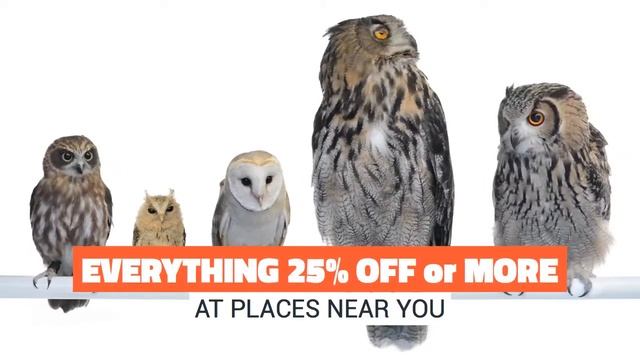 Find Incredible Deals Near You - Skout Deals смотреть онлайн