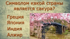 ТЕСТ НА ЭРУДИЦИЮ. Проверь свои знания за пять минут.