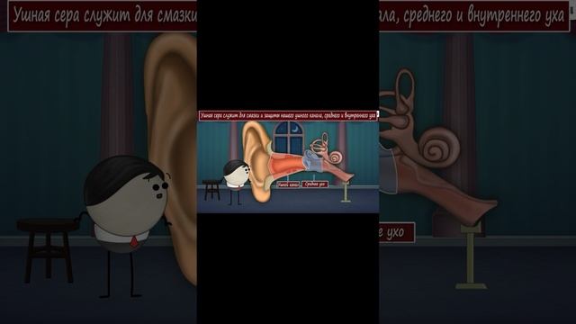 Что такое ушная сера? смотреть онлайн