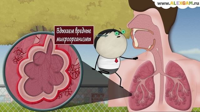 Что вызывает пневмонию? смотреть онлайн