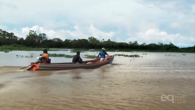 I Have Seen the Earth Change : Brazil, The Rebellious Amazon смотреть онлайн