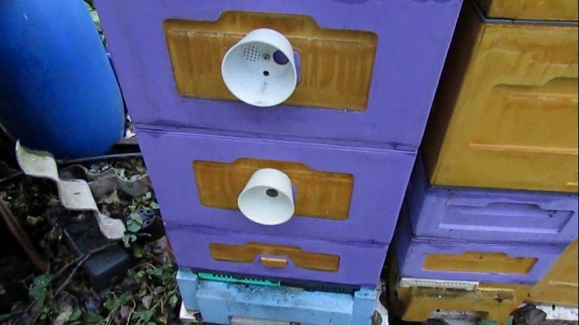 пчеловодство на ячейке 4,9 мм - часть 28, пчелы собираются в клуб , обработка от клеща Варроа смотреть онлайн