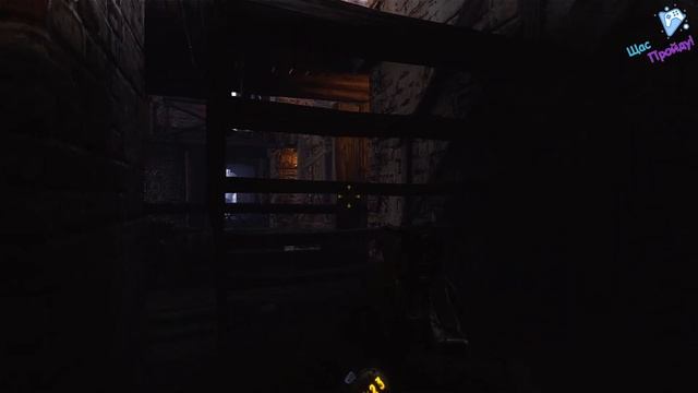 Прохождение Metro: Exodus. Серия 4: Катя и Настя, а также Царь-рыба смотреть онлайн