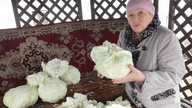 Готовлю капусту 🥬🥬🥬 грузди которые долго хранятся и всё.. смотреть онлайн