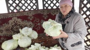 Готовлю  капусту 🥬🥬🥬 грузди которые долго хранятся и всё..