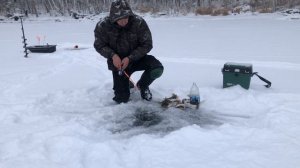 ТАКОЙ РЫБАЛКИ Я НЕ ОЖИДАЛ!! ЩУКА КЛЮЕТ БЕЗ ЖЕРЛИЦ. Зимняя рыбалка на окуня на блесну.