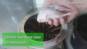 Быстрый и легкий ощип перепелов в ПМ-30