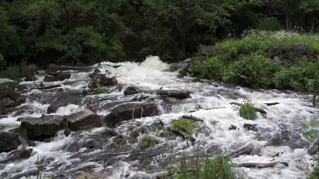 Albysjon trip in Tyreso смотреть онлайн