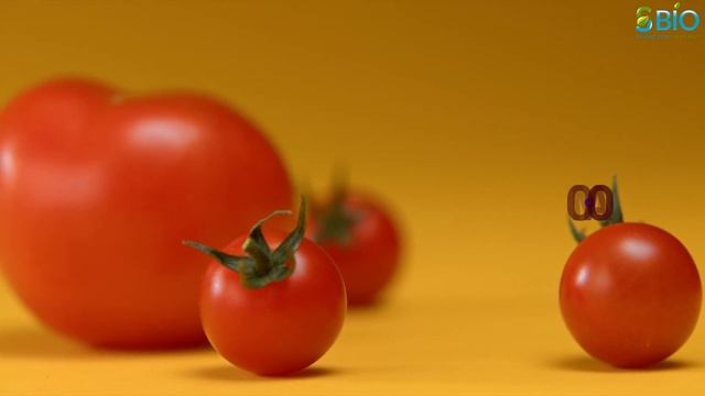 TOP 10 HEALTHIEST VEGETABLES I Top 10 Healthy Vegetable I Top healthy Vegetables I смотреть онлайн