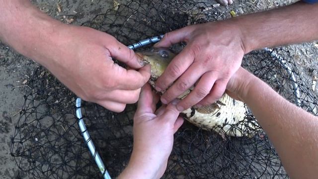 ИДЕАЛЬНЫЙ ЖОР САЗАНА В МАЕ НА ДРУГУЮ РЫБАЛКУ Я НЕ СОГЛАСЕН