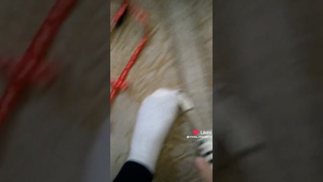 Омуниция для моей собаки