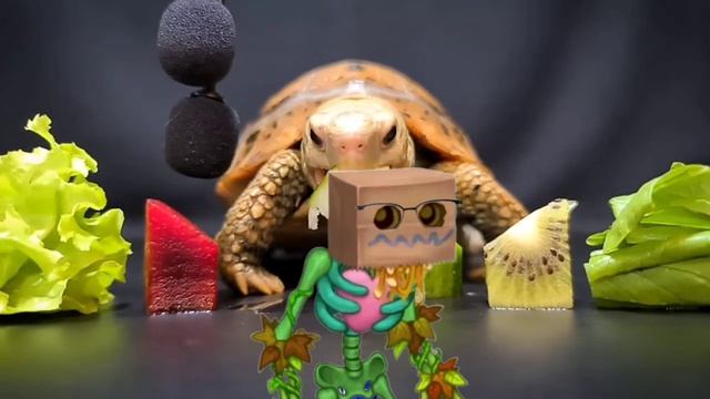 13 фактов о МСМ!