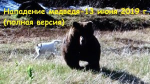 Нападение медведя - 13 июня, 2019 год (полная версия).