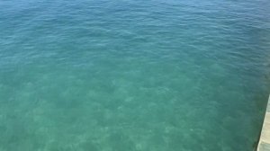 ADALYA ELITE LARA 5*,4K