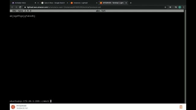 BASIC LINUX COMMANDS (03) 2020 | AWS LIGHTSAIL COURSE смотреть онлайн
