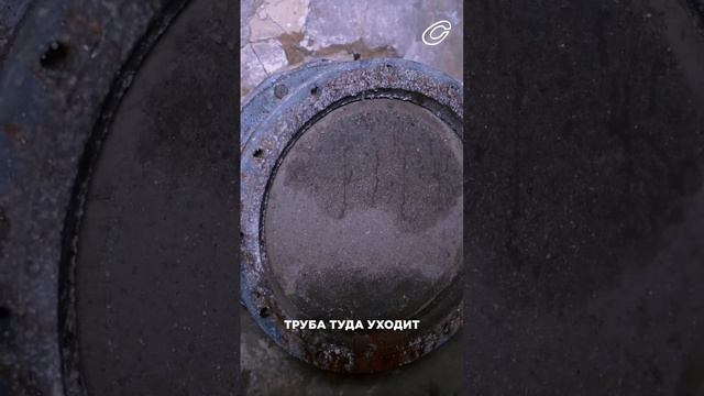 Ядерная война. Смотрите новый спецрепортаж «Сливы» смотреть онлайн