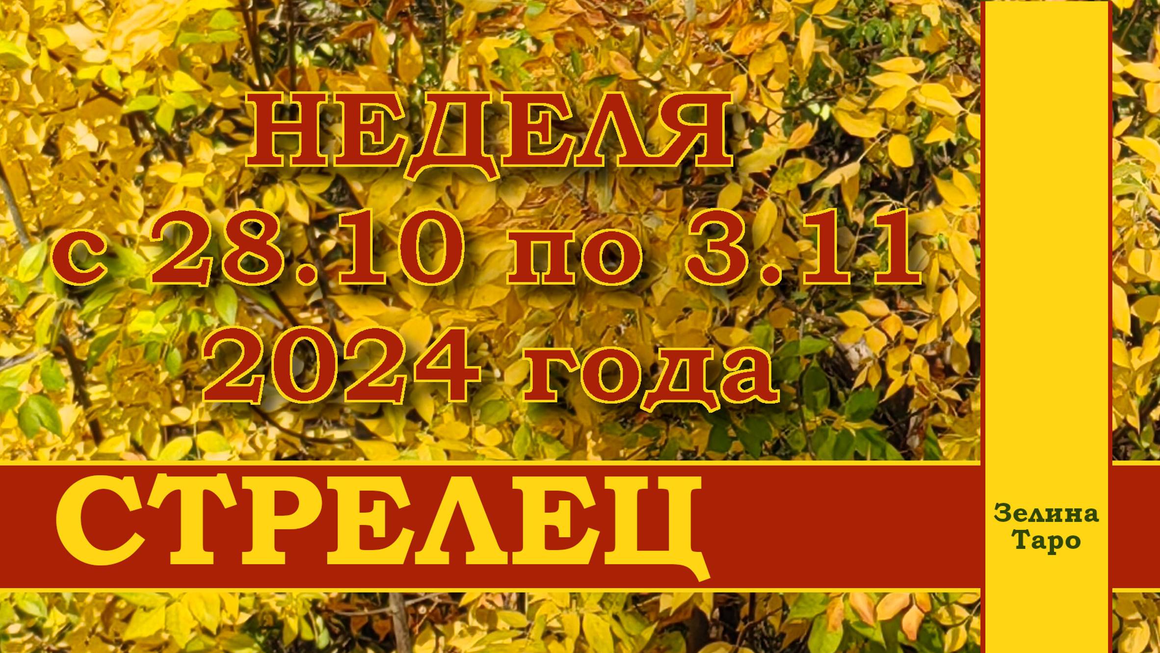 СТРЕЛЕЦ | ТАРО прогноз на неделю с 28 октября по 3 ноября 2024 года