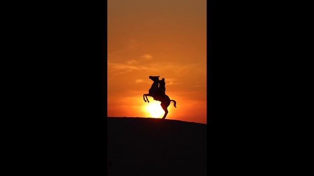 AT SUNSET смотреть онлайн
