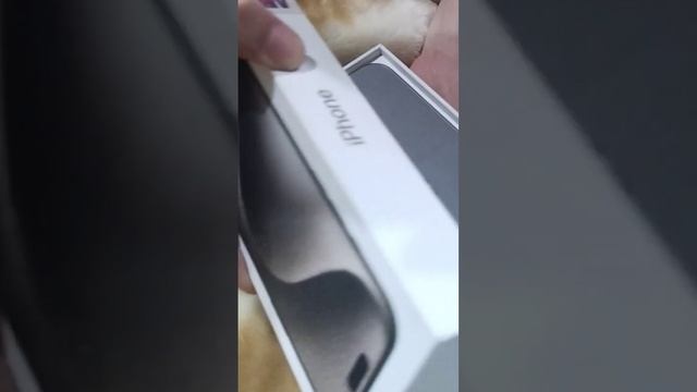 Finally Roohi Got an iPhone 15#viral #roohirafay #iphone #iphone15promax #shortsvideo смотреть онлайн
