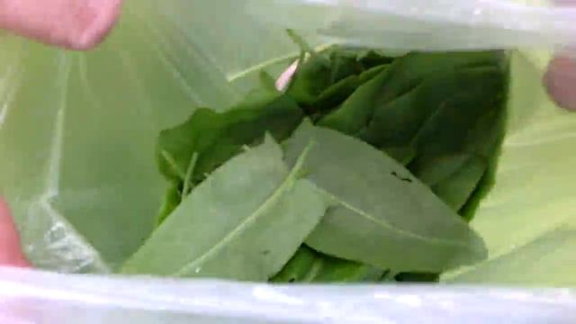 Щавель для зеленых щей смотреть онлайн