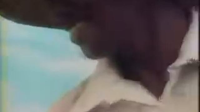 Pesticide Poisoning Farmworkers in Central America 1982 смотреть онлайн