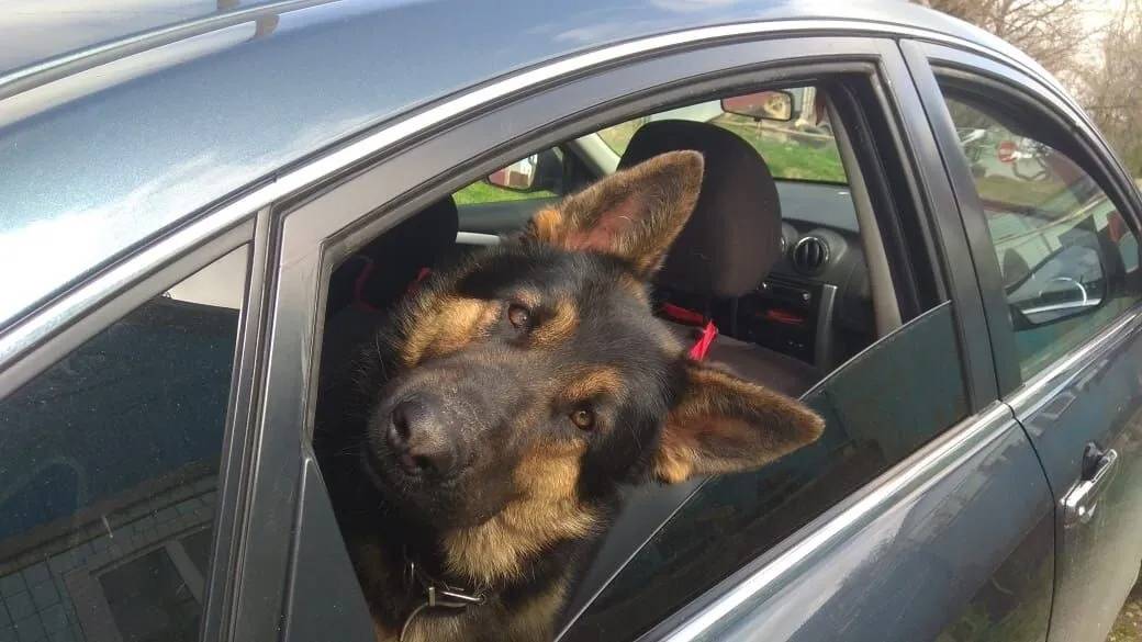 Спор на миллион/Если ты водитель/Стройка и никаких чудес! смотреть онлайн