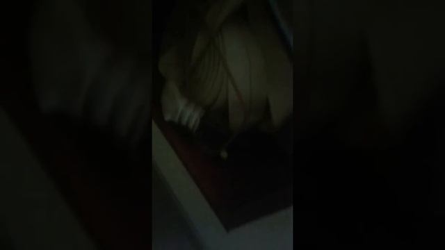 Камера видео смотреть онлайн