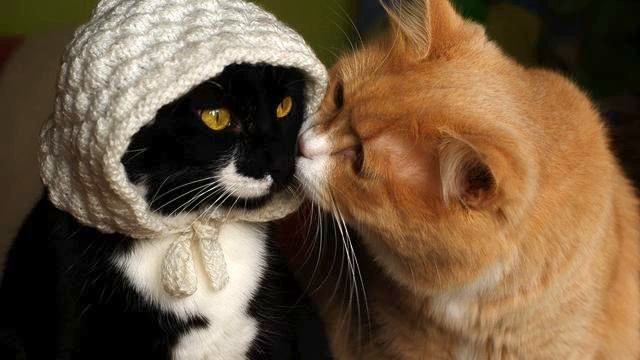 Музыка от депрессии. Просто хит! Посмотрите! смотреть онлайн