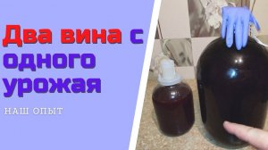 Вторичное вино из мезги жмыха два вина с одного урожая простое домашнее вино