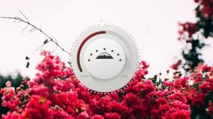 Магамет Дзыбов - Лалеби georgian song \ грузинская песня