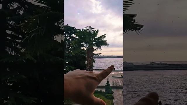 Столовые Ялты #mosacore #путешествия #туризм #Крым смотреть онлайн