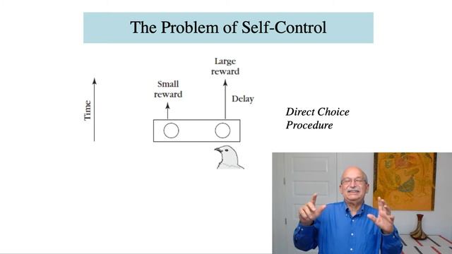 Choice and Self Control смотреть онлайн