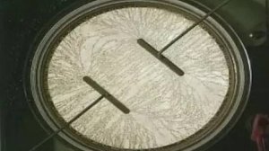 Физика. Демонстрация однородного электростатического поля