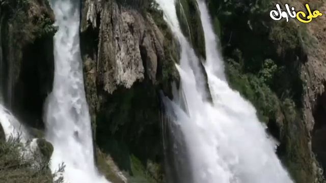 MAFIA Series | Ep 42 | Commando Was Caught And All The Way To Escape Closed | Ali Novels