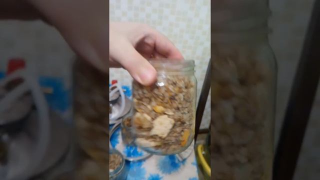 Автоклав паравой. греча в автоклаве