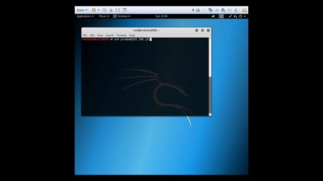 Configuración Firewall Windows Server 2008 смотреть онлайн