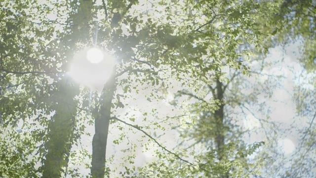 【聴くだけで開運】2023年の運気を上げる音楽。運気アップ смотреть онлайн