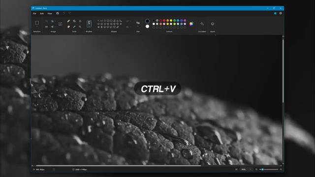 WINDOWS 11 VS MACBOOK BASIC COMMANDS смотреть онлайн