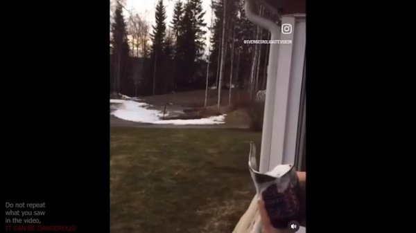 UNUSUAL MEMES COMPILATION V91 (meme.mp4)