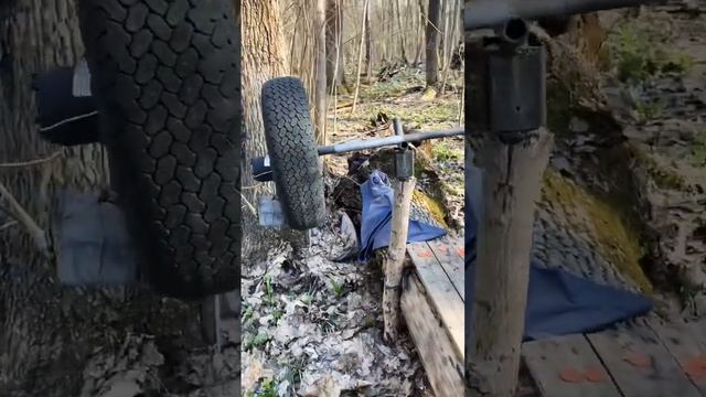 Топ находка в лесу #shorts