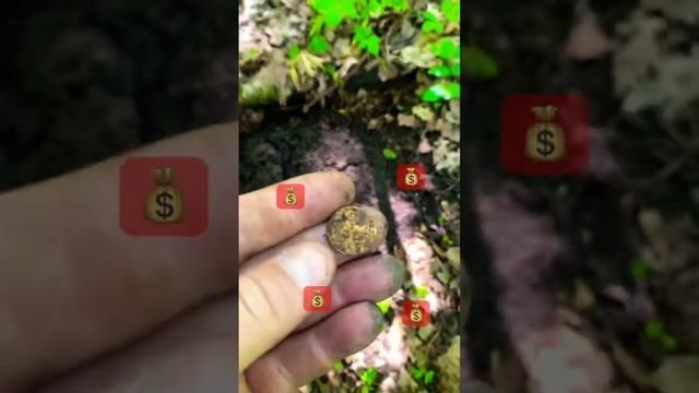 Монета в лесу #коп #клад #металлоискатель